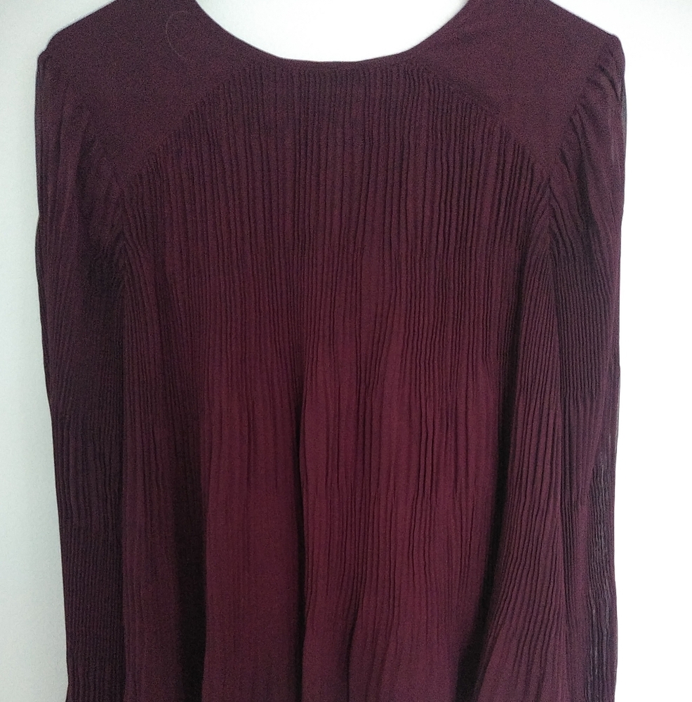 Express burgundy pleated top